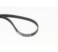 CONTITECH 5PK1441 Serpentine belt
