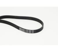 Multi-ribbed V-belt 5PK2030 CONTINENTAL CTAM for BMW ROVER LAND ROVER MG