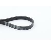 CONTITECH 5PK694 ELAST Serpentine belt