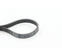 CONTITECH 5PK716 ELAST Serpentine belt