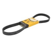 Fits CONTITECH 6 PK 1033 ELAST V-ribbed Belt 6 PK 1033 ELAST Multi-V-belt (6PK1
