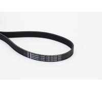 CONTITECH 6PK1120 EXTRA Serpentine belt