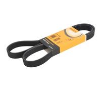 Fits CONTITECH 6 PK 1345 V-Ribbed Belt DE stock