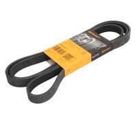 ✅Fits CONTITECH 6 PK 2077 V-ribbed Belt 6 PK 2077 Multi-V-belt (6PK2 ⭐UK Seller⭐