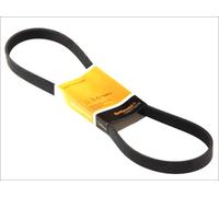 VRIBBED BELT 6PK780 ELAST FOR PEUGEOT 207/207+ 206/CC 307/SW/Van/Break 1.4L 4cyl