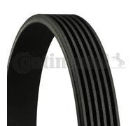 Fits CONTITECH 6 PK 794 ELAST V-Ribbed Belt DE stock