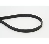 Multi-ribbed V-belt 6DPK1817 CONTINENTAL CTAM for BMW 3 Touring 3 X3 1 Coupe 1 5