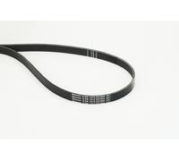 CONTITECH 6PK1212 EXTRA Serpentine belt