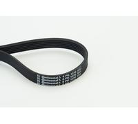 Continental V-Ribbed Belt 6PK1270 – 6 Ribs – For Ford, Volvo, Fiat