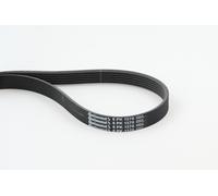 CONTITECH 6PK1370 V-Ribbed Belts