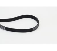 Continental V-Ribbed Belt 6PK1660 - Fits Audi BMW Citroen Fiat Hyundai Kia Peugeot