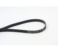 Contitech 6PK1693 V-Ribbed Belts, Black