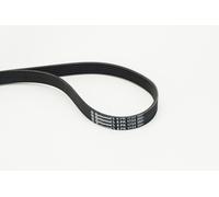 Multi-ribbed V-belt 6PK1733 CONTINENTAL CTAM for BMW VW RENAULT CITROËN FORD