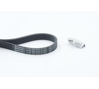 CONTITECH 6PK842 ELAST T1 Serpentine belt