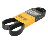 Fits CONTITECH 7 PK 1165 V-Ribbed Belt DE stock