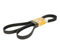 ContiTech Serpentine Belt 7PK2120 V-Ribbed