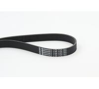 Fits CONTITECH 7PK1125 MULTI V-BELT ⭐UK Stock⭐