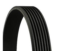 Fits CONTITECH 7PK1910 V-Ribbed Belts UK Stock