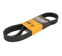 Multi-ribbed V-belt 8PK1183 CONTINENTAL CTAM for MERCEDES-BENZ VARIO Van ATEGO