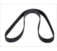 VRIBBED BELT 8PK1509 FOR SCANIA 4/-/series/bus DC11.04/06/03/07 10.6L 6cyl