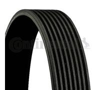 CONTITECH 8 PK 1515 V-Ribbed Belt OE REPLACEMENT