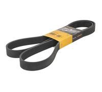 Fits CONTITECH 8 PK 1850 V-ribbed Belt 8 PK 1850 Multi-V-belt (8PK1850) fits: S