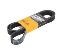 CONTITECH 8PK1960 Serpentine belt