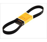 ✅Fits CONTITECH 8 PK 2585 V-ribbed Belt 8 PK 2585 Multi-V-belt (8PK2 ⭐UK Seller⭐