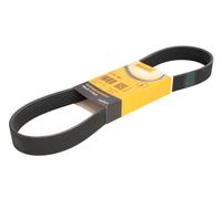 Fits CONTITECH 8 PK 880 V-Ribbed Belt DE stock