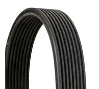 Multi-ribbed V-belt 8DPK1833 CONTINENTAL CTAM for BMW 7