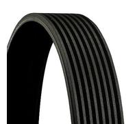 CONTITECH 8PK1275 Serpentine belt