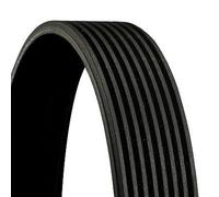 8PK1395 V-Ribbed Belt Fits BMW 3 2 Coupe 4 Coupe Convertible By Continental