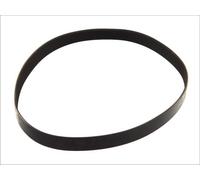 VRIBBED BELT 9PK1725 FOR MAN D 2840 LF 25 18.3L 10cyl TGA