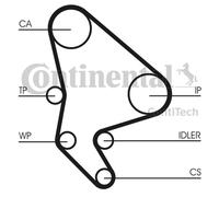 ✅Fits CONTITECH CT1037WP1 Water Pump & Timing Belt Set ⭐UK Seller⭐
