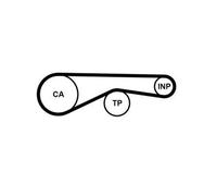 CONTITECH CT1194 Timing Belt