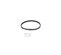 CONTITECH CT1248 Timing Belt