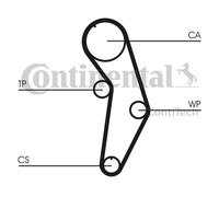 ✅Fits CONTITECH CT908WP1 Water Pump & Timing Belt Set ⭐UK Seller⭐