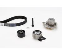 Fits CONTITECH CT968WP2 TIMING BELT KIT + WATER PUMP