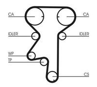 ✅Fits CONTITECH-ZESTAWY ROZRZĄDU CT975WP2 TIMING BELT KIT +PUMP ⭐UK Seller⭐
