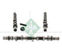 INA 428 0252 10 Camshaft