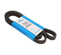 Fits DAYCO 6DPK1698 V-RIBBED BELTS