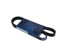 Fits DAYCO 6PK1217S V-Ribbed Belt ⭐UK Stock⭐