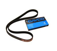 Fits DAYCO DAY5PK1320 V-ribbed Belt DAY5PK1320 Multi-V-belt (5PK1320) fits: FER