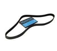 Fits DAYCO DAY6PK1240 V-Ribbed Belt DE stock