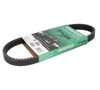 Fits DAYCO DAYHP2003 Drive belt DE stock