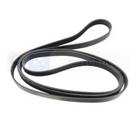 Fits DAYCO PASKI 6PK2745 V-RIBBED BELT