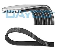 DAYCO 7PK1240 Serpentine belt