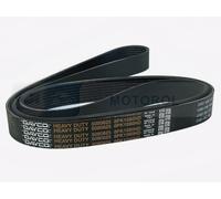 Fits DAYCO PASKI 8PK1590HD V-RIBBED BELT