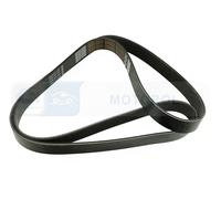 Fits DAYCO PASKI 8PK1675HD V-RIBBED BELT