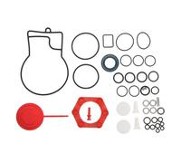 Seal repair kit for Lucas Delphi EPIC Ford Transit fuel pumps genuine delphi